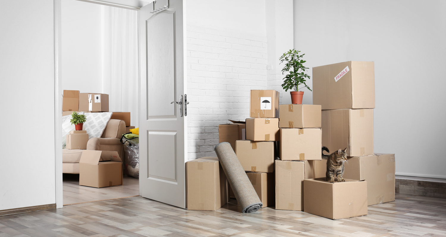 Declutter Before You Depart: Smart Moving Strategies