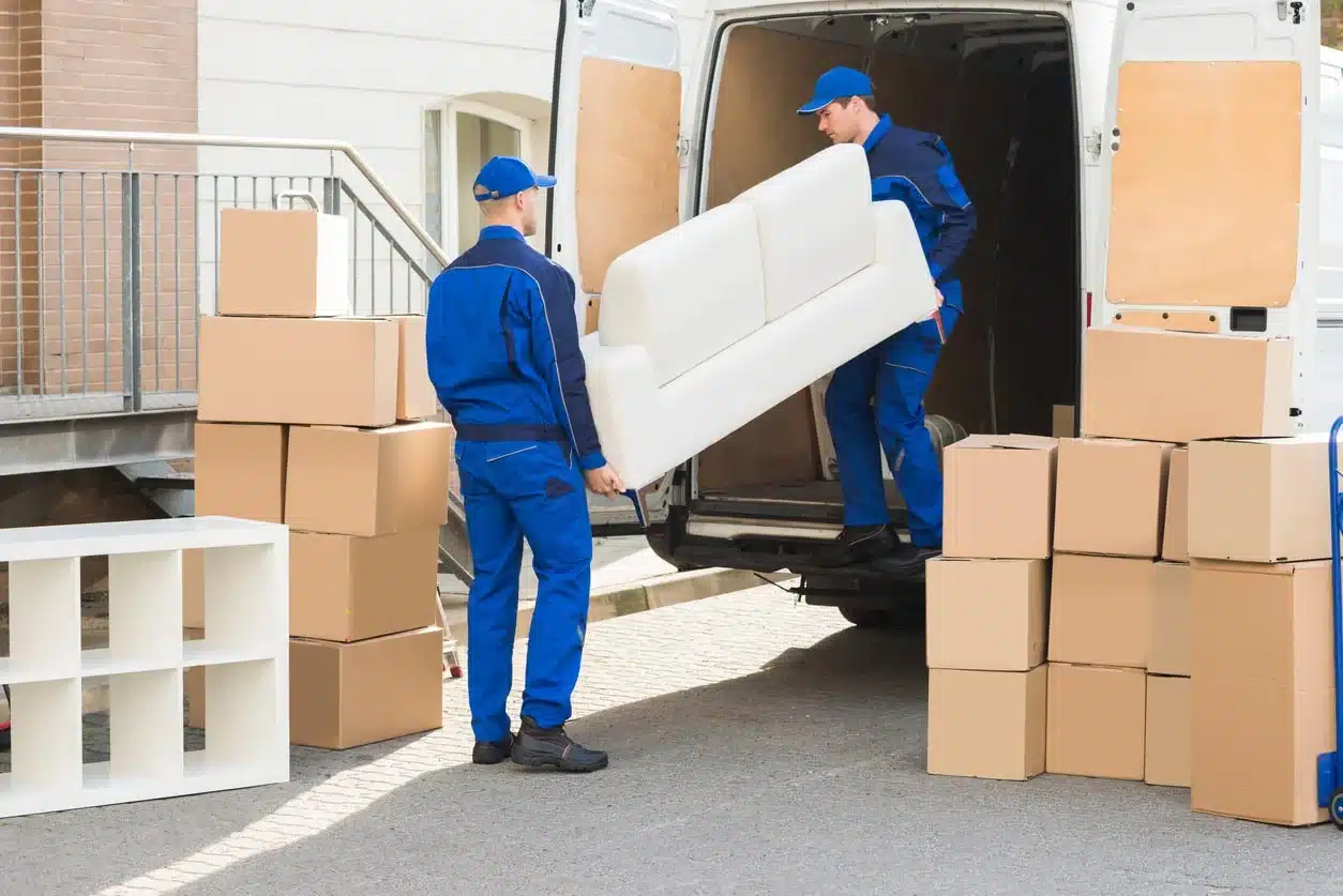 Stress-Free Moving: Full-Service Packing, Hauling, & Furniture Care